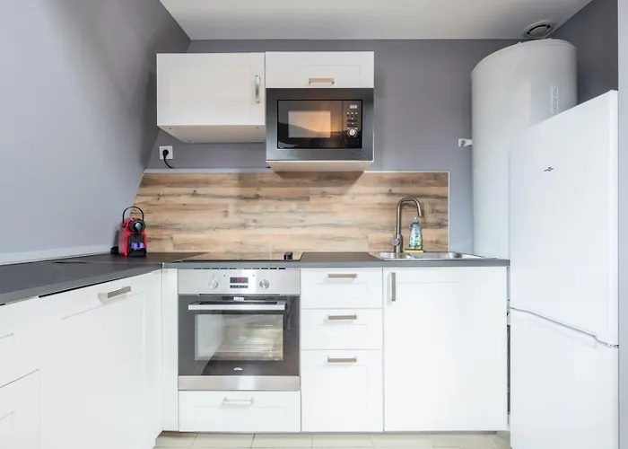 Lille Proche Wazemmes/Jb Lebas - 2 Bed Apartment